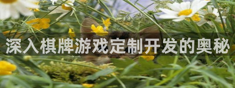 沐鸣2票35994度