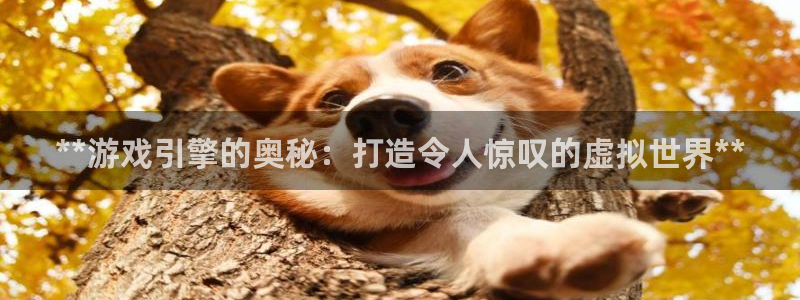 沐鸣娱乐2官网