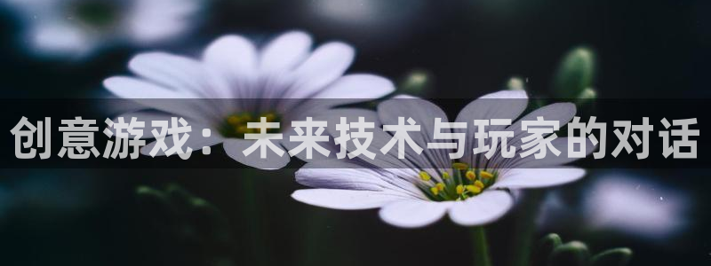 沐鸣娱乐2登录平台官网入口：创意游戏：未来技术与玩家的对话