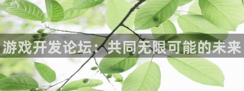 沐鸣2app官方：游戏开发论坛：共同无限可能的未来