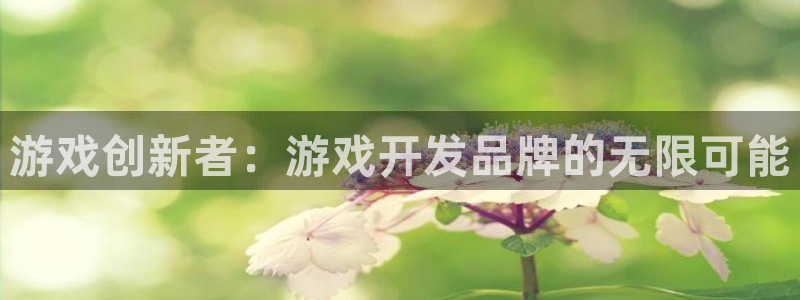沐鸣娱乐2官方网站：游戏创新者：游戏开发品牌的无限可能