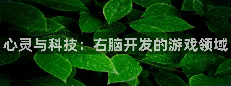 沐鸣娱乐2是正规平台么吗