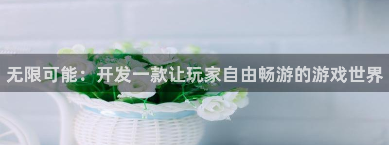 沐鸣娱乐2注册平台：无限可能：开发一款让玩家自由畅游的游戏世界