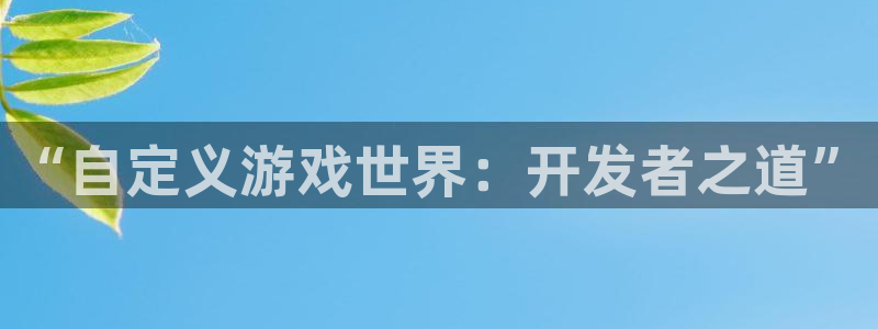 沐鸣2娱乐平台注册：“自定义游戏世界：开发者之道”
