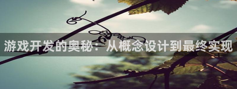 沐鸣娱乐2登录平台官网：游戏开发的奥秘：从概念设计到最终实现