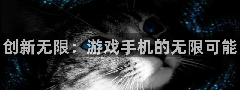 沐鸣娱乐2l怎么样：创新无限：游戏手机的无限可能