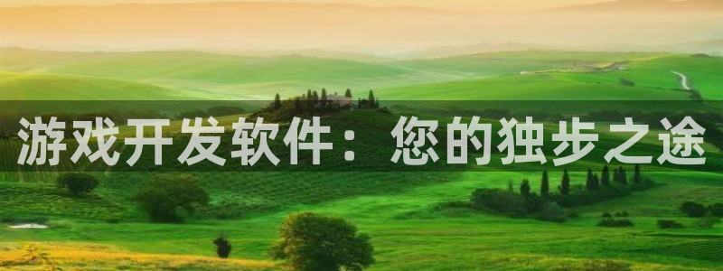 沐鸣2app：游戏开发软件：您的独步之途