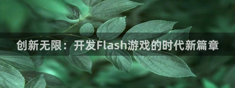 沐鸣2平台负责人：创新无限：开发Flash游戏的时代新篇章
