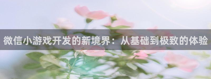 沐鸣2登陆：微信小游戏开发的新境界：从基础到极致的体验