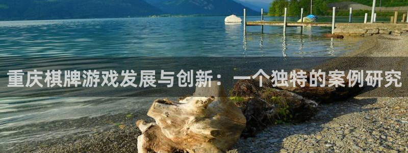 沐鸣2平台负责人：重庆棋牌游戏发展与创新：一个独特的案例研究