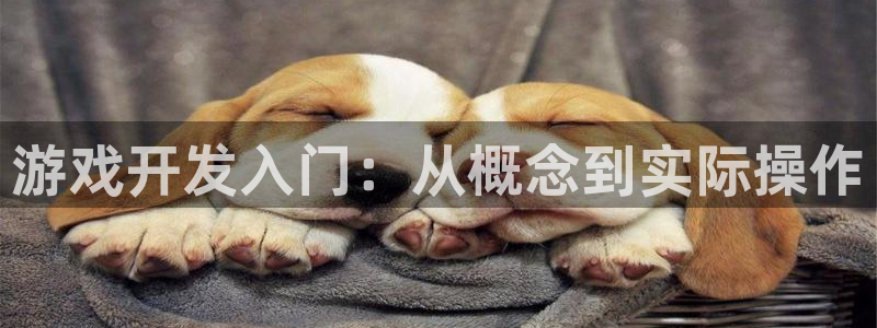 沐鸣2娱乐注册登录平台：游戏开发入门：从概念到实际操作