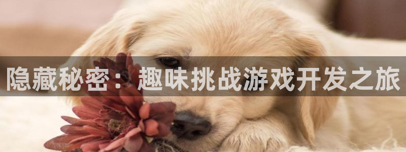 沐鸣娱乐2官网网址：隐藏秘密：趣味挑战游戏开发之旅