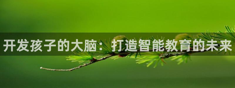 沐鸣娱乐2的分分彩：开发孩子的大脑：打造智能教育的未来